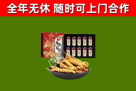 太康烟酒回收冬虫夏草礼盒.jpg